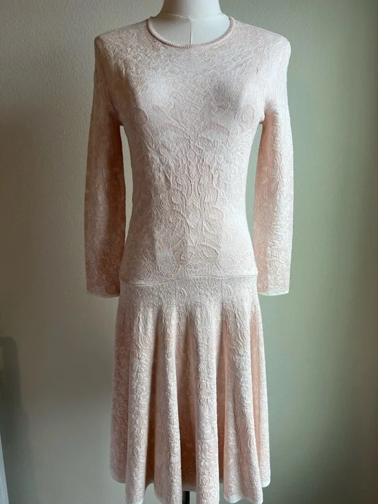 Alexander McQueen Pale Blush Lace Long-Sleeve Mini Dress - Picture 1 of 9